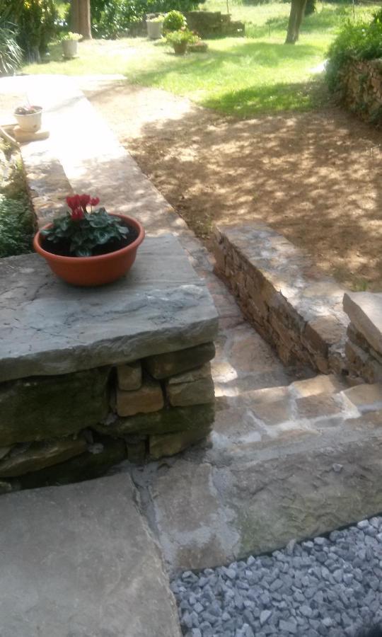 Agriturismo Bosco Fiorito Villa Muggia Bagian luar foto