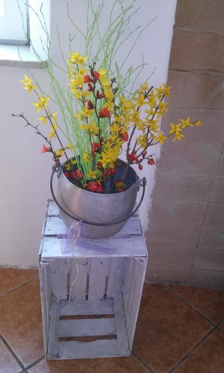 Agriturismo Bosco Fiorito Villa Muggia Bagian luar foto